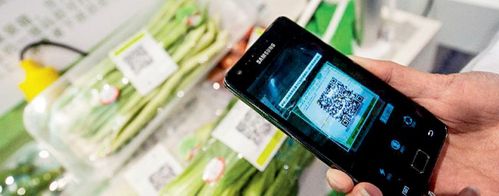 扫个码，看清每一口蔬菜的 “成长日记”