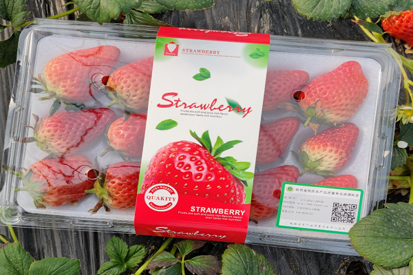 告别 “酒香也怕巷子深”，农户靠溯源系统打开销路