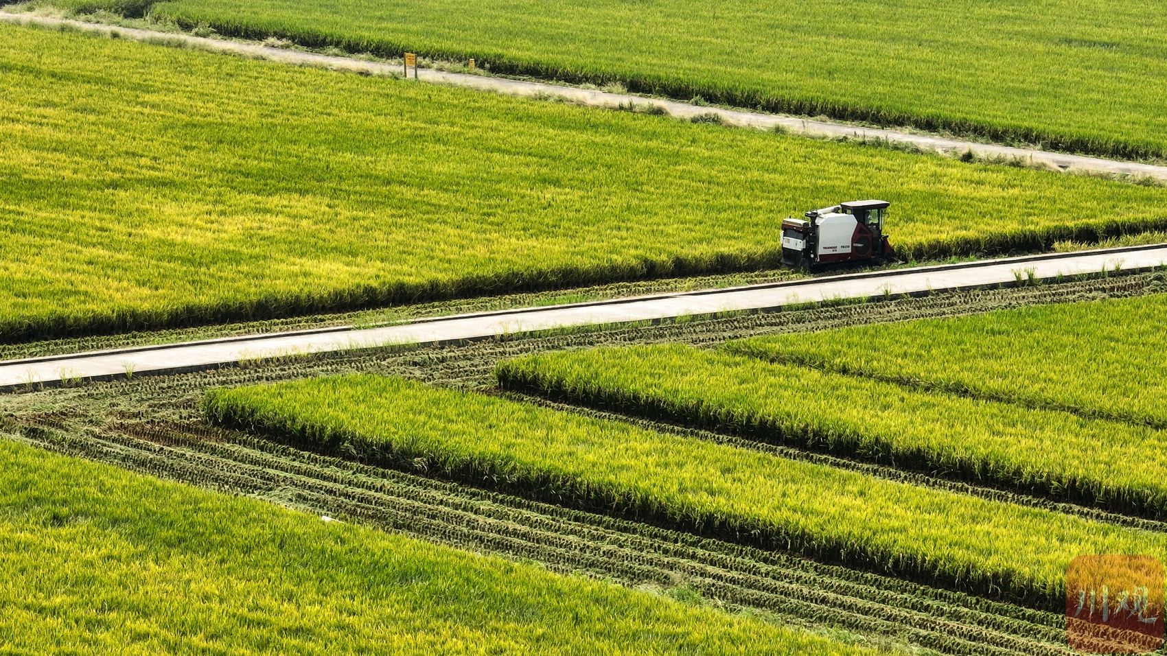 高标准农田项目流程全解